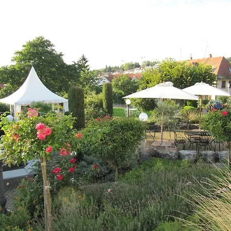 Seeschau - Adults Only